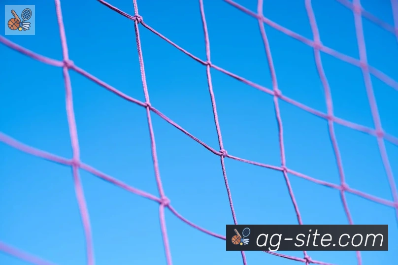 App Interface Preview