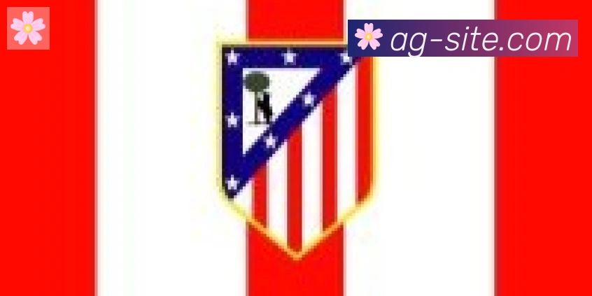 AG真人合作伙伴