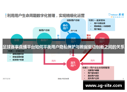 足球赛事直播平台如何平衡用户隐私保护与数据驱动创新之间的关系